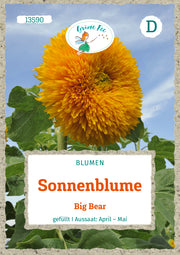 Sonnenblume Big Bear