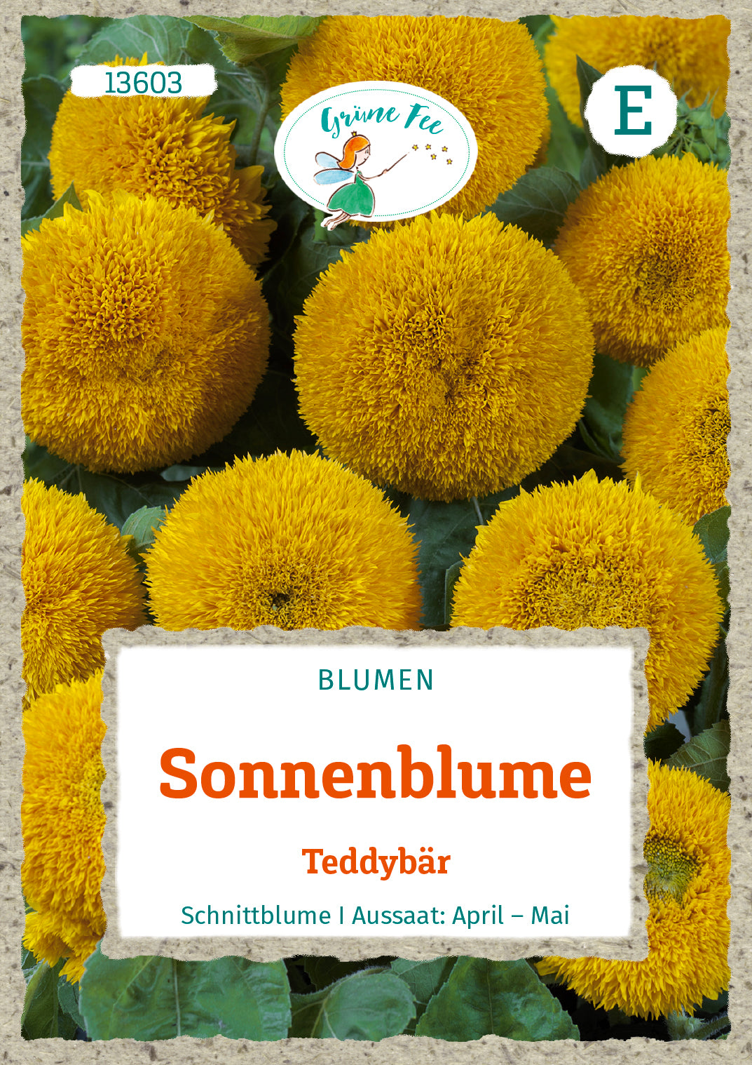 Sonnenblume Teddybär