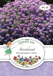 Steinkraut Königsteppich violett