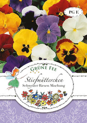 Stiefmütterchen Schweizer Riesen Mischung