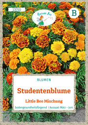 Studentenblume Little Bee Mischung