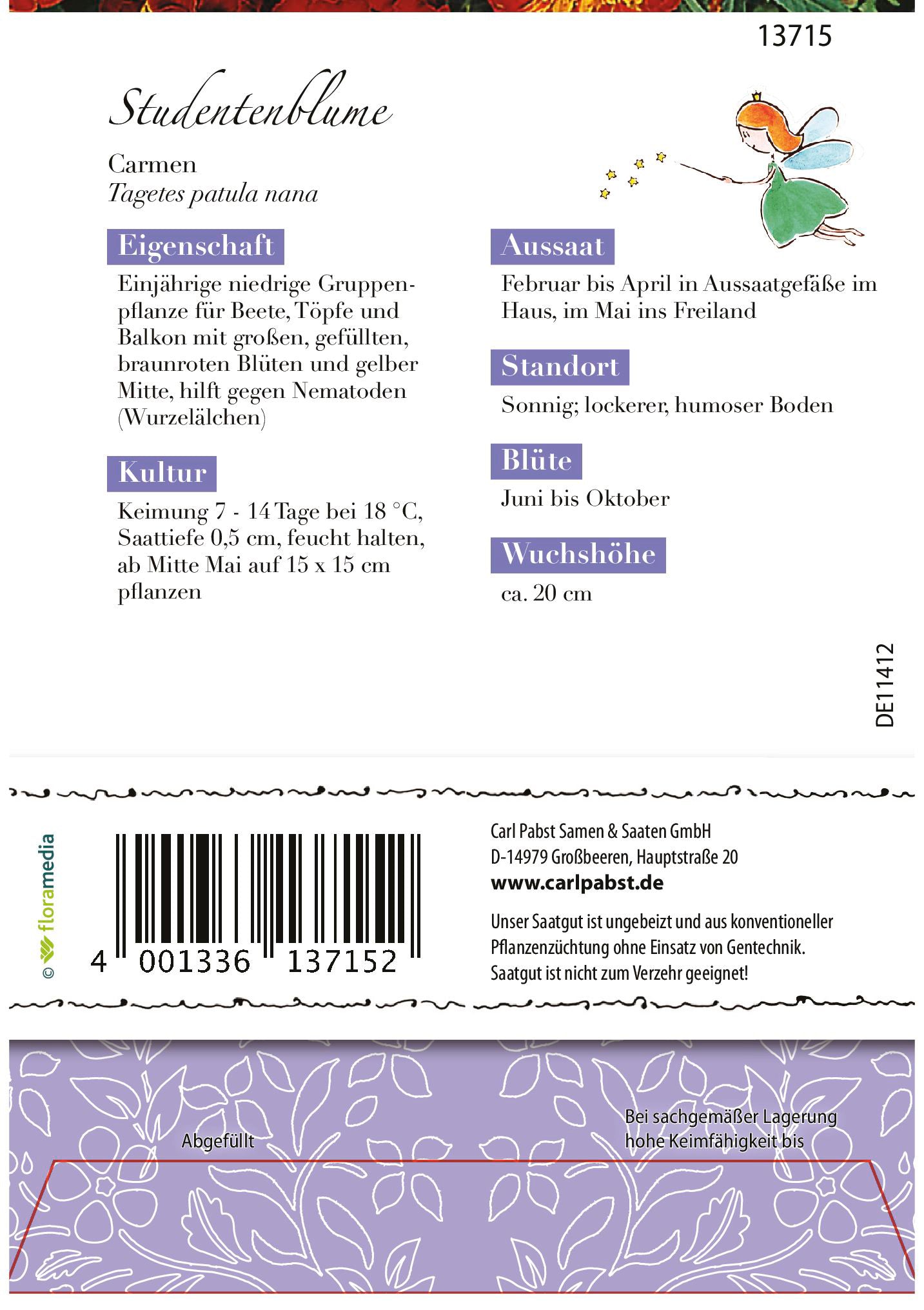 Studentenblume Carmen