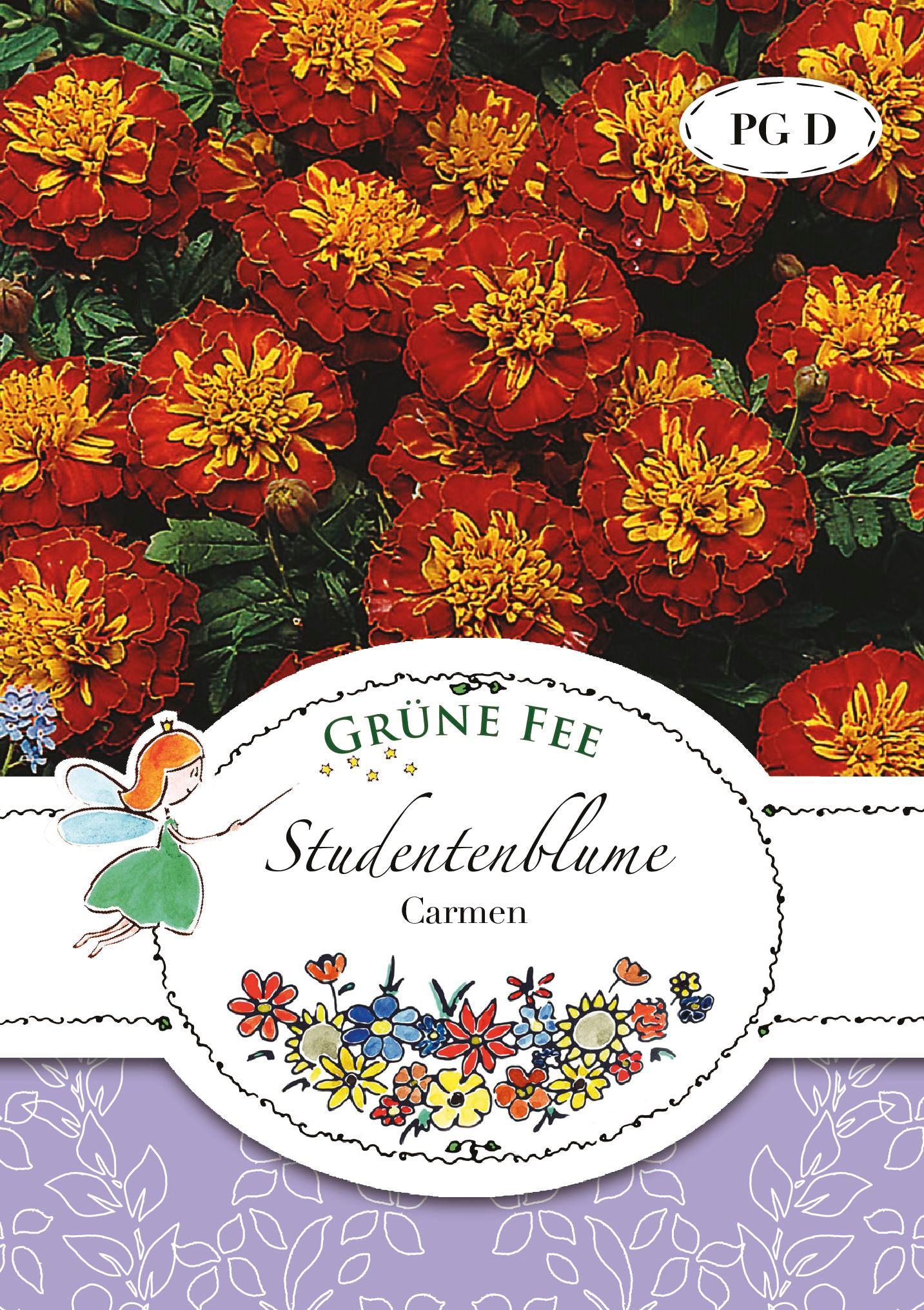 Studentenblume Carmen