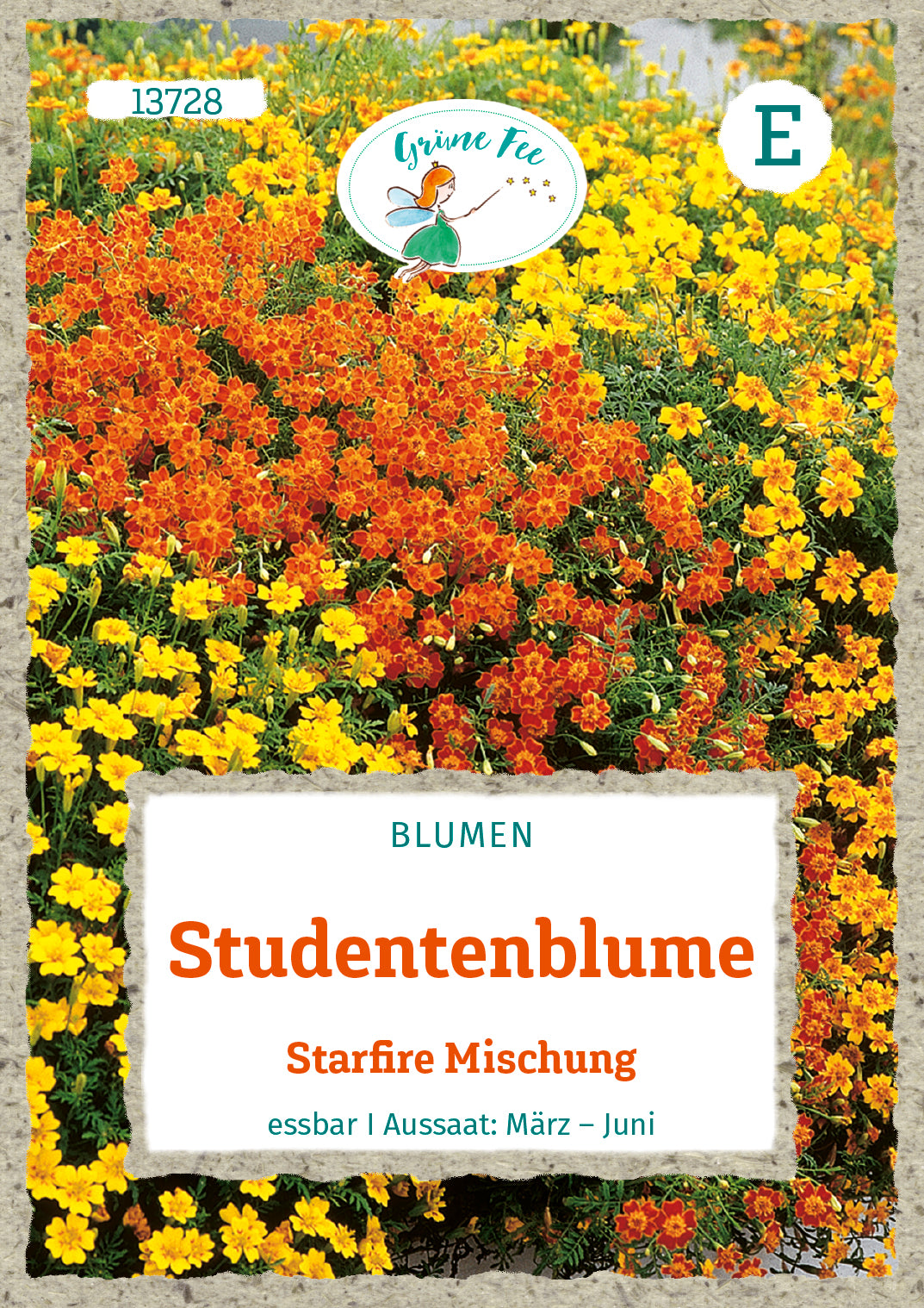 Studentenblume Starfire Mischung