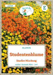 Studentenblume Starfire Mischung