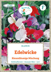 Edelwicke Riesenblumige Mischung