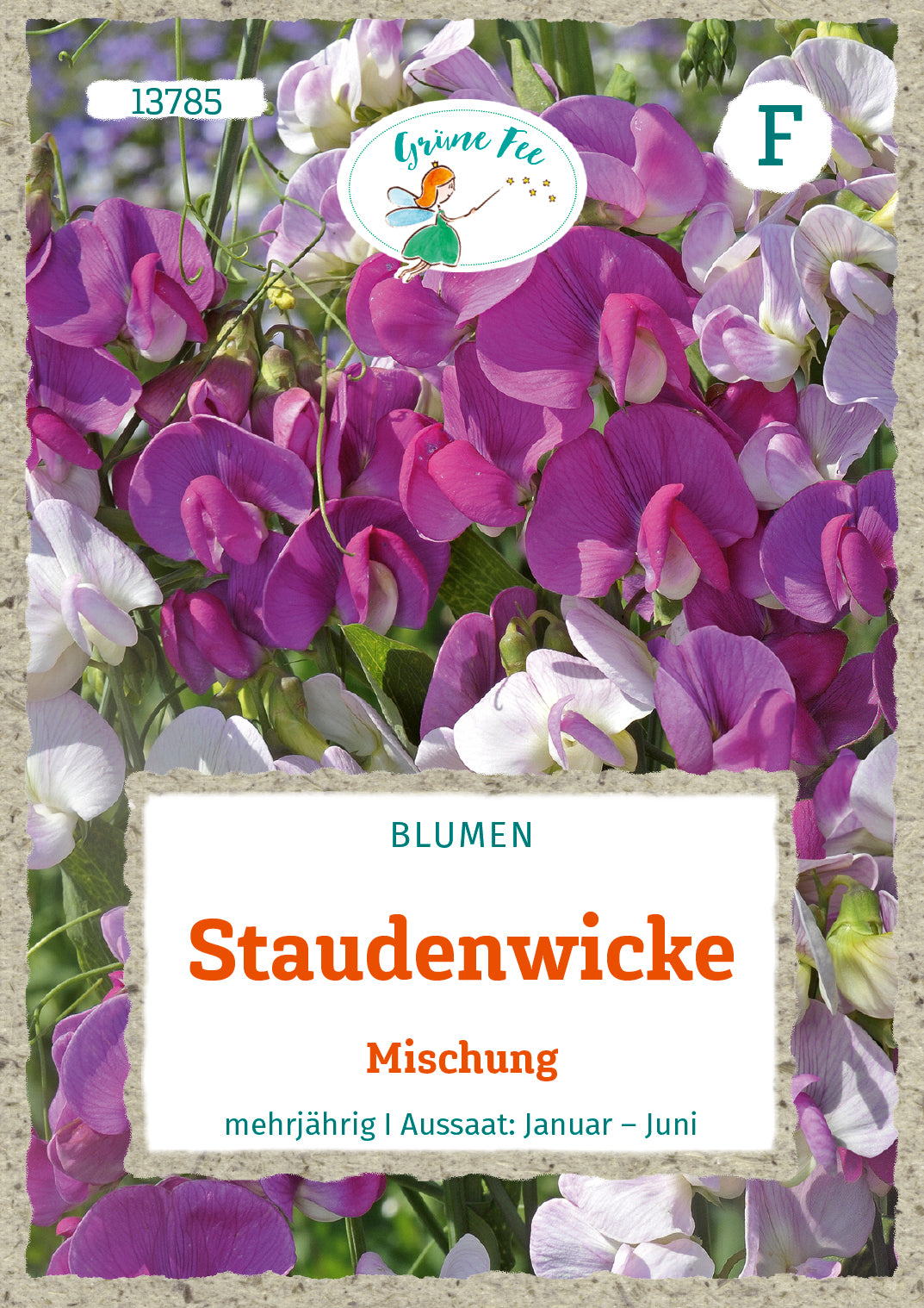 Staudenwicke Mischung
