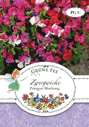 Zwergwicke Princess-Mischung