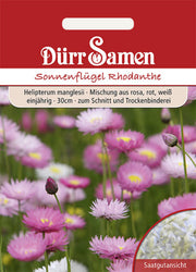 Sonnenflügel einjährig 30 cm