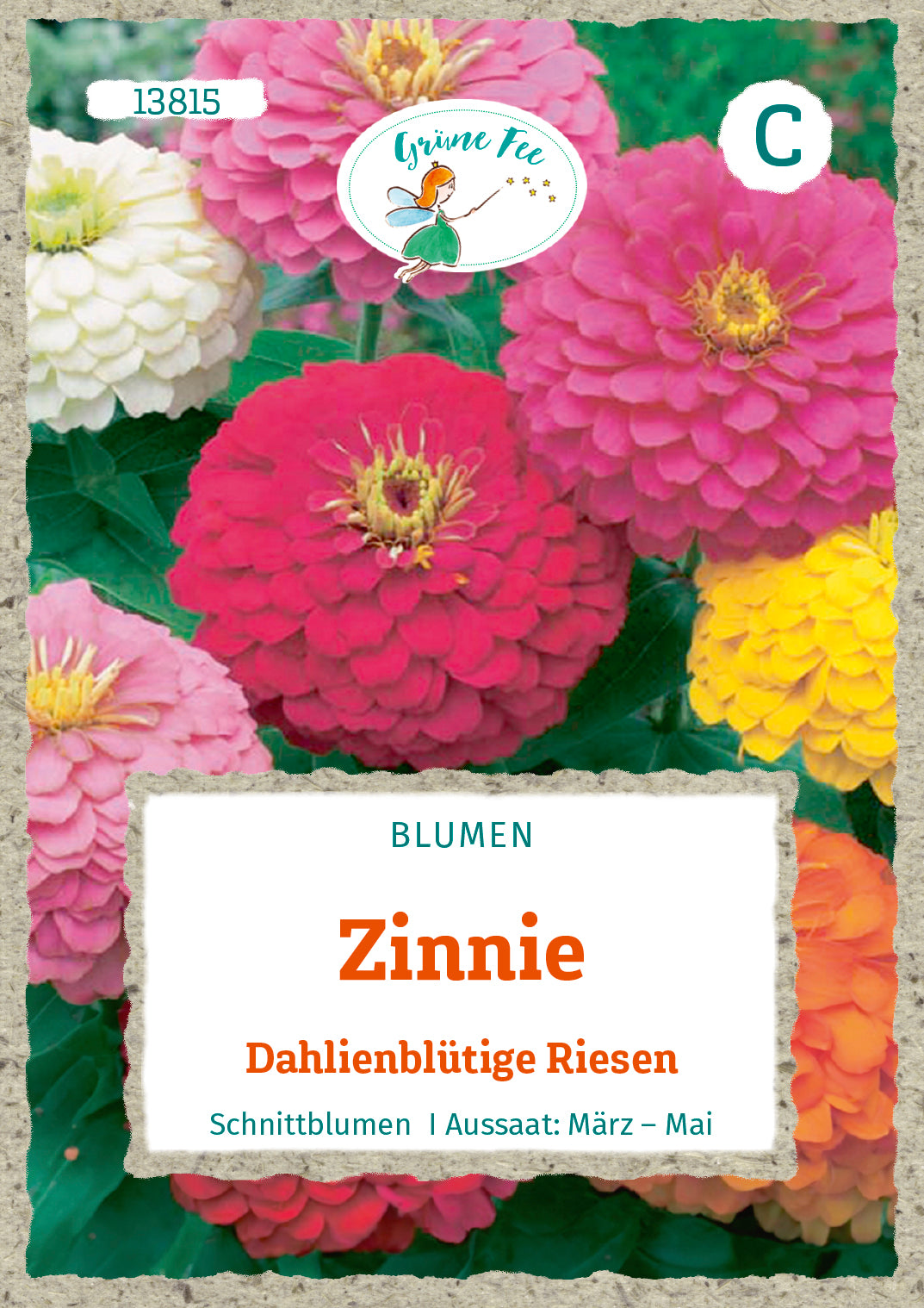Zinnie Dahlienblütige Riesen