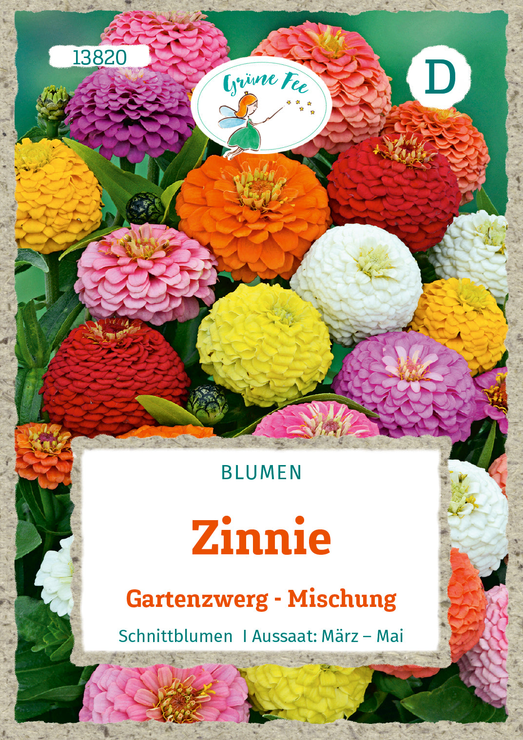 Zinnie Gartenzwerg-Mischung