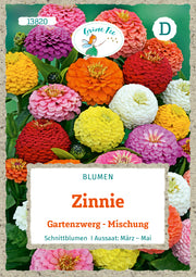 Zinnie Gartenzwerg-Mischung