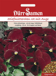 Stiefmütterchen Rot mit Auge zweijährig 20 cm
