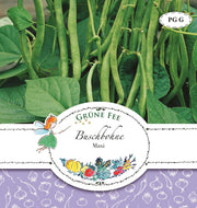 Buschbohne Maxi