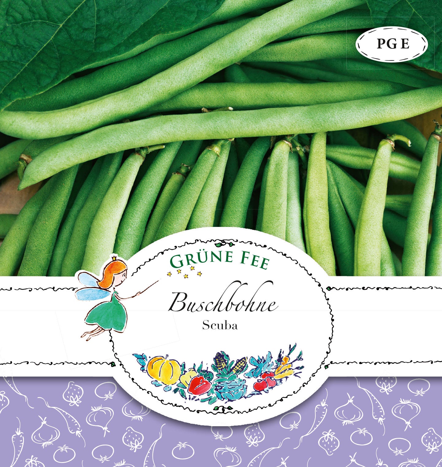 Buschbohne Scuba