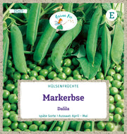 Markerbse spät & niedrig Dalila