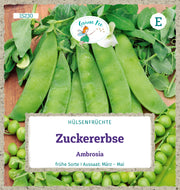Zuckererbse Ambrosia