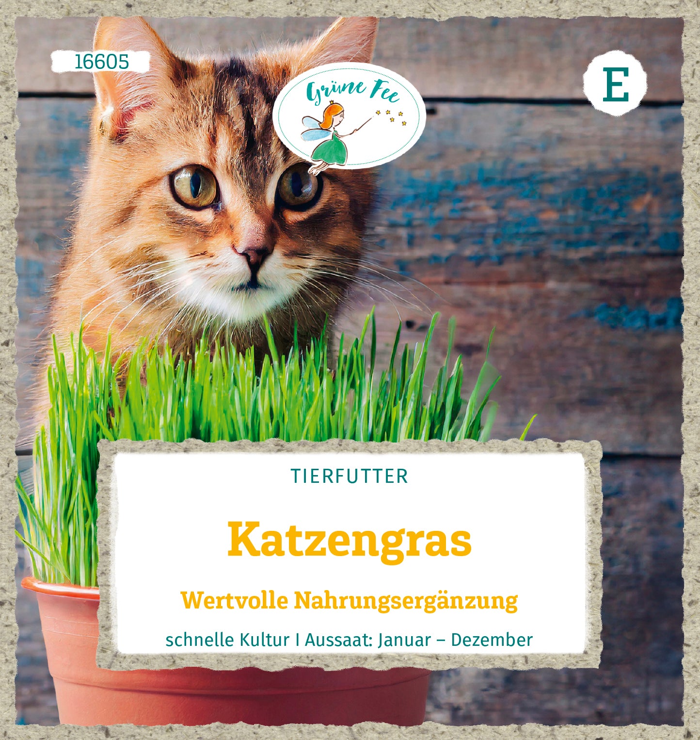 Katzengras Wertvolle Nahrungsergänzung