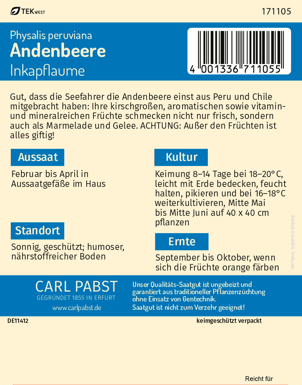 Andenbeere Inkapflaume