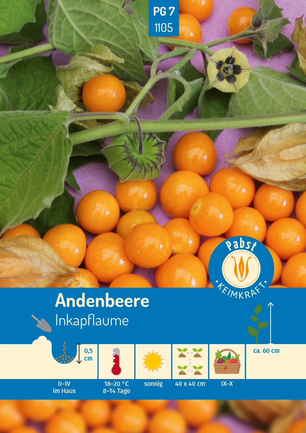 Andenbeere Inkapflaume