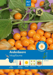 Andenbeere Inkapflaume