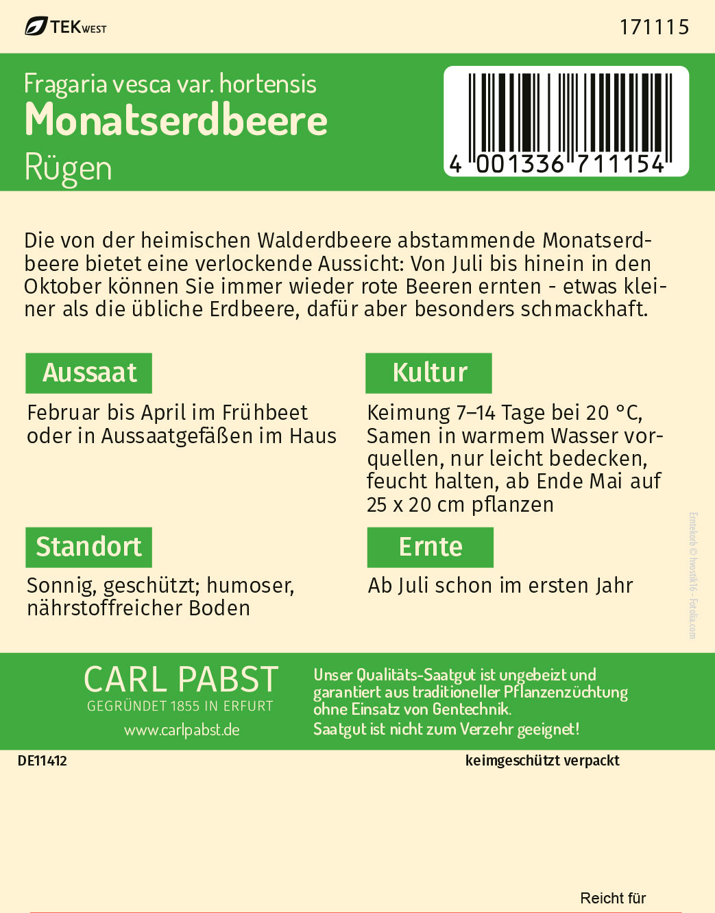Monatserdbeere Rügen