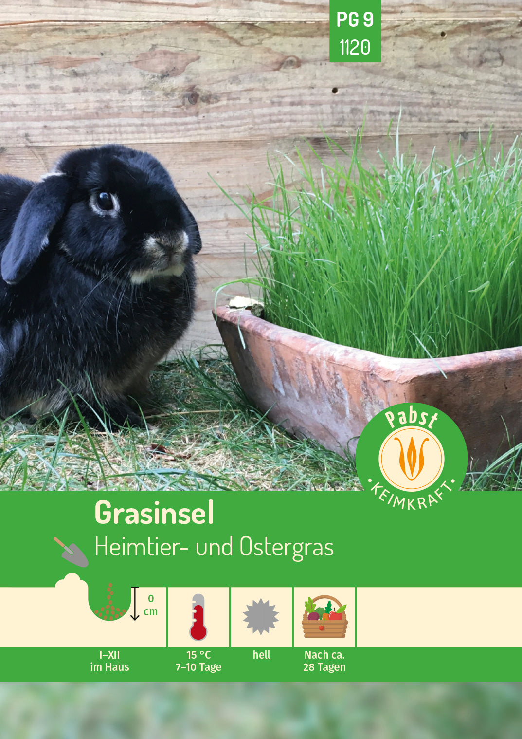 Grasinsel Heimtier- und Ostergras