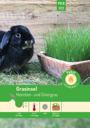Grasinsel Heimtier- und Ostergras