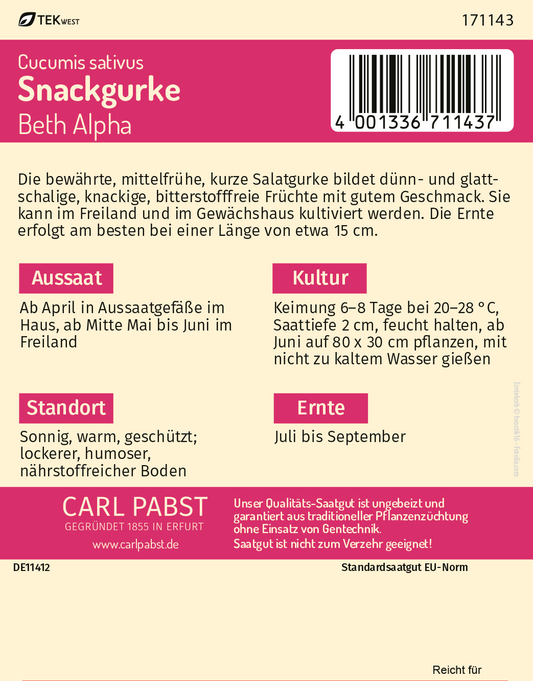 Snackgurke kurz & glattschalig Beth Alpha