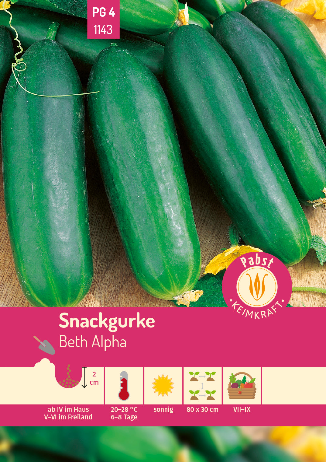 Snackgurke kurz & glattschalig Beth Alpha