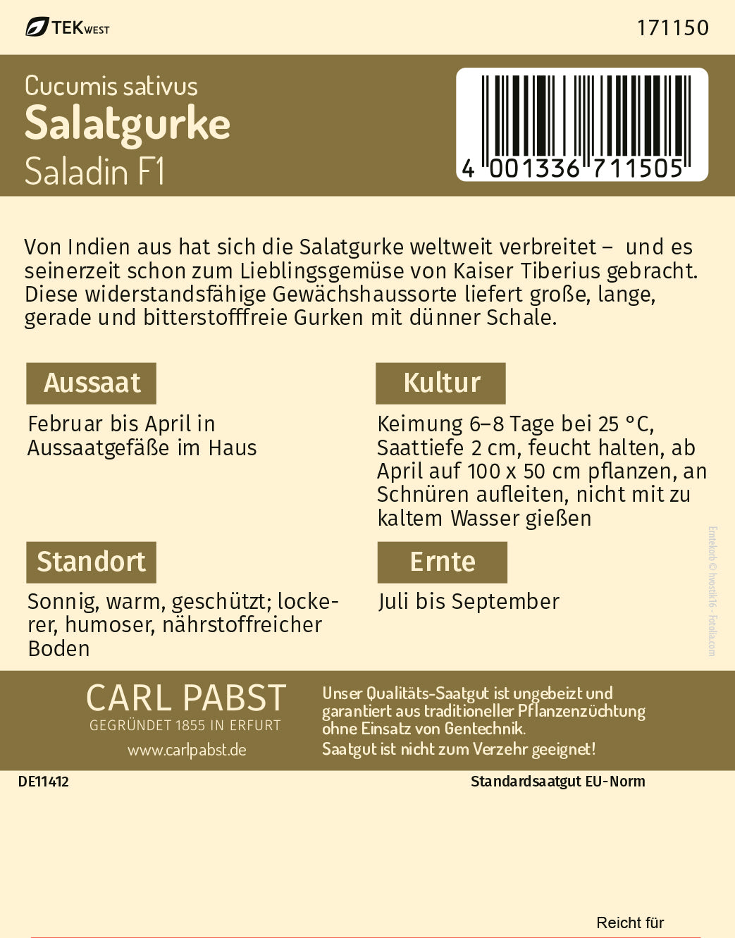 Salatgurke lang & bitterfrei Saladin F1