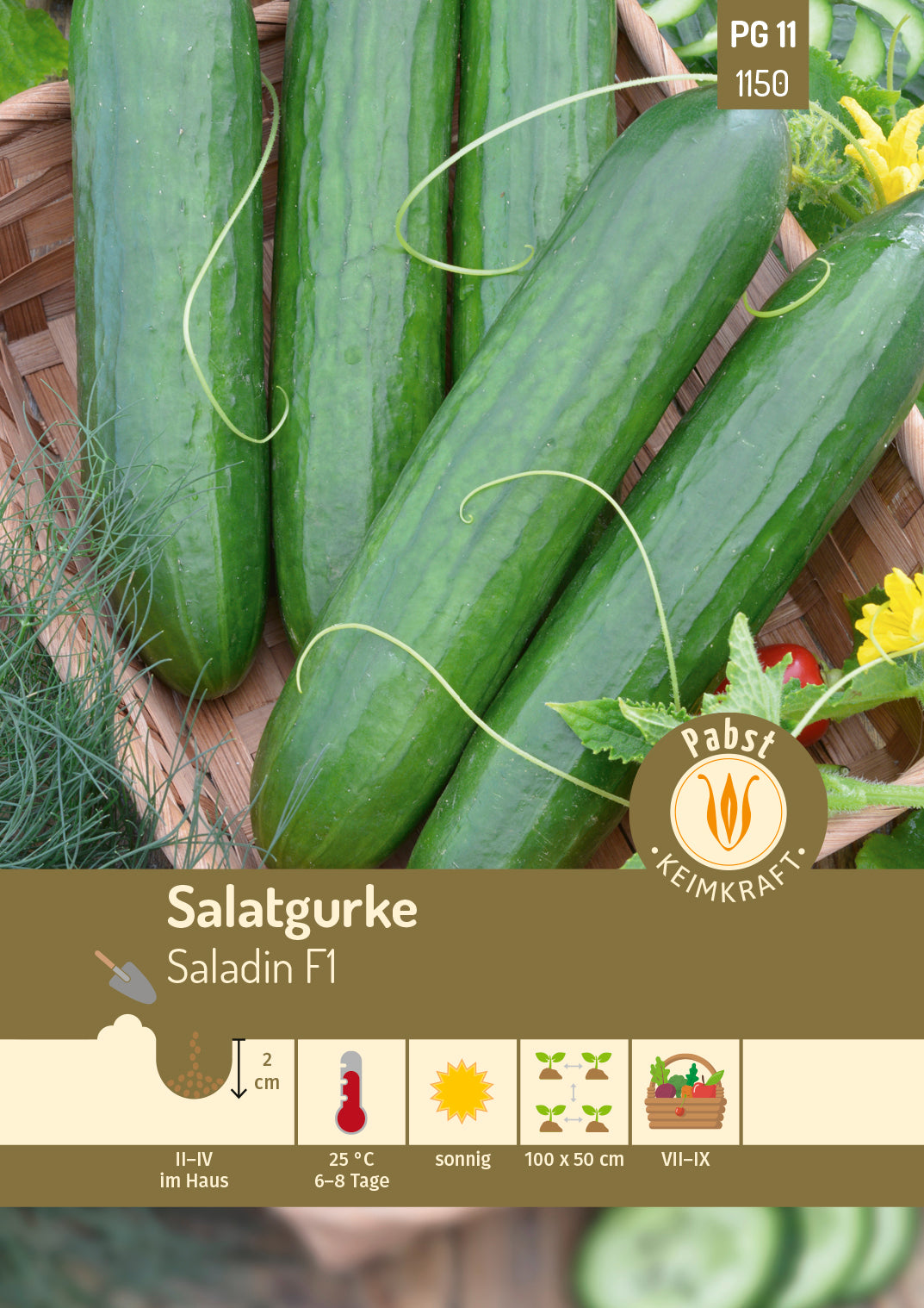 Salatgurke lang & bitterfrei Saladin F1