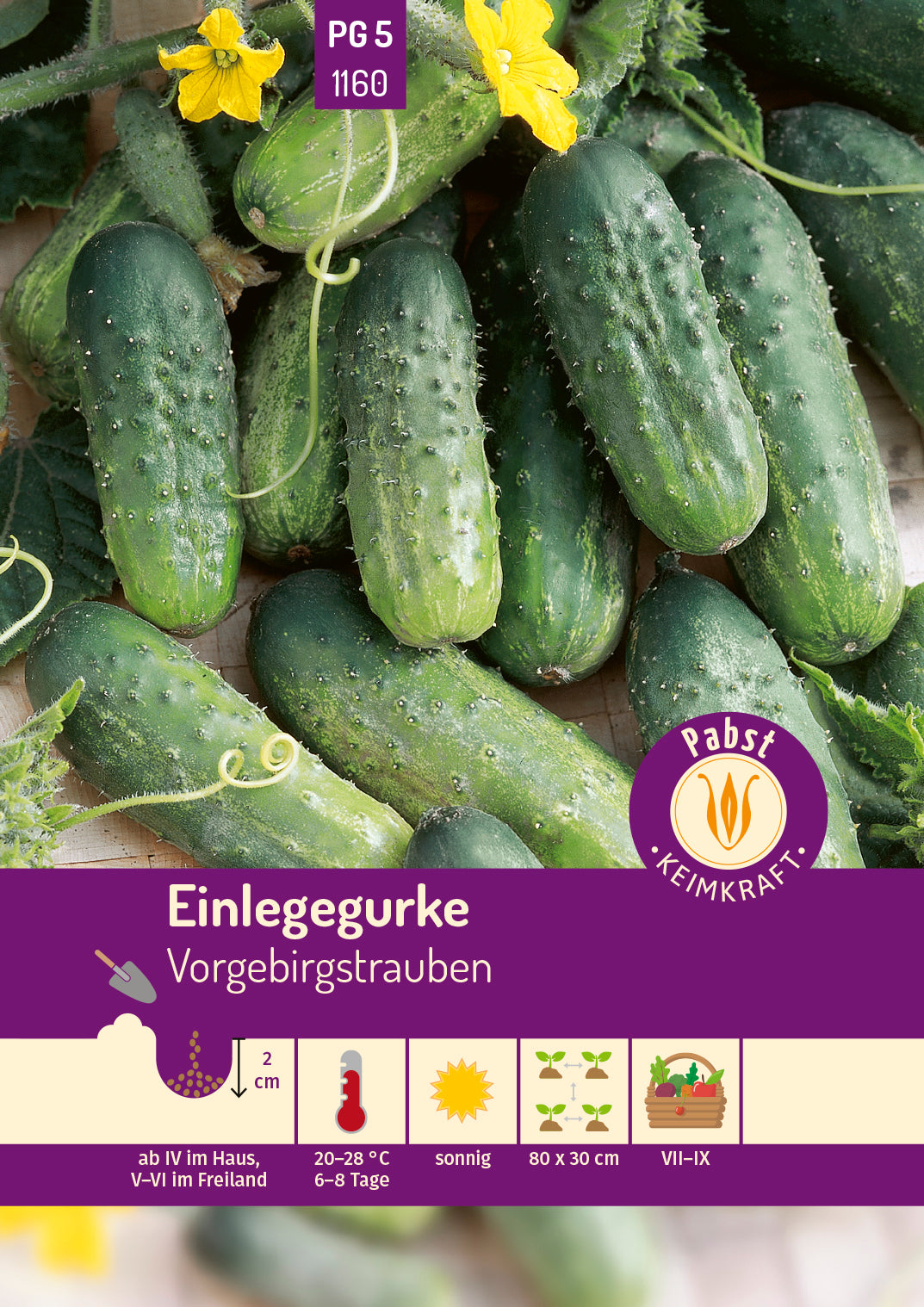 Einlegegurke kurz & oval Vorgebirgstrauben