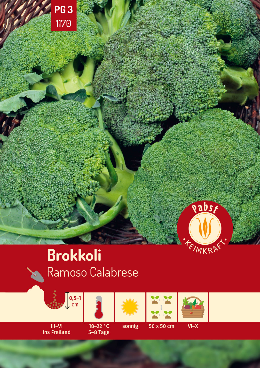 Brokkoli grün & vieltriebig Ramoso Calabrese