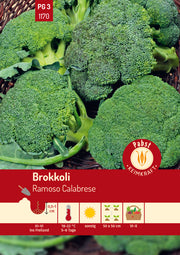 Brokkoli grün & vieltriebig Ramoso Calabrese