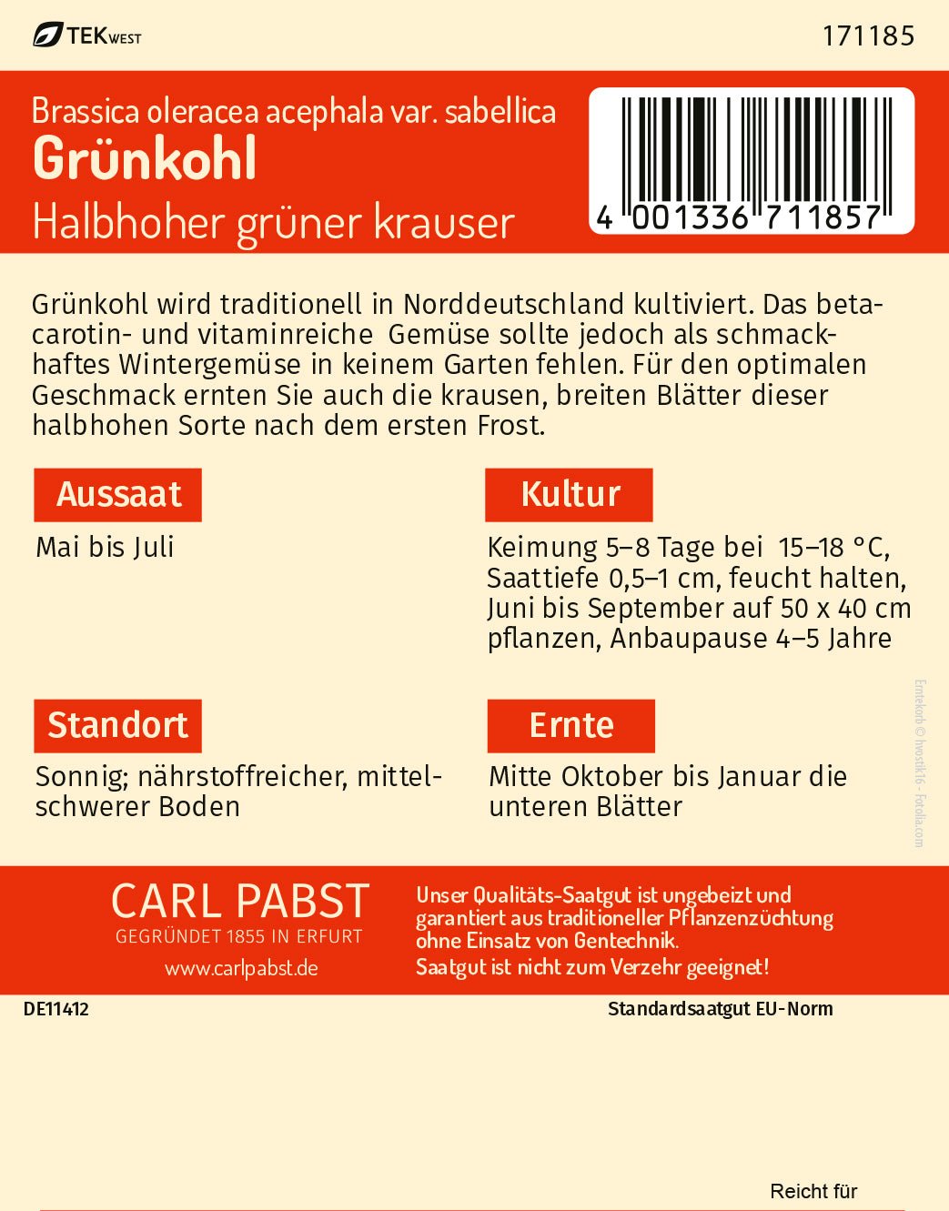 Grünkohl halbhoch & gekraust Halbhoher grüner krauser