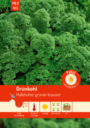 Grünkohl halbhoch & gekraust Halbhoher grüner krauser