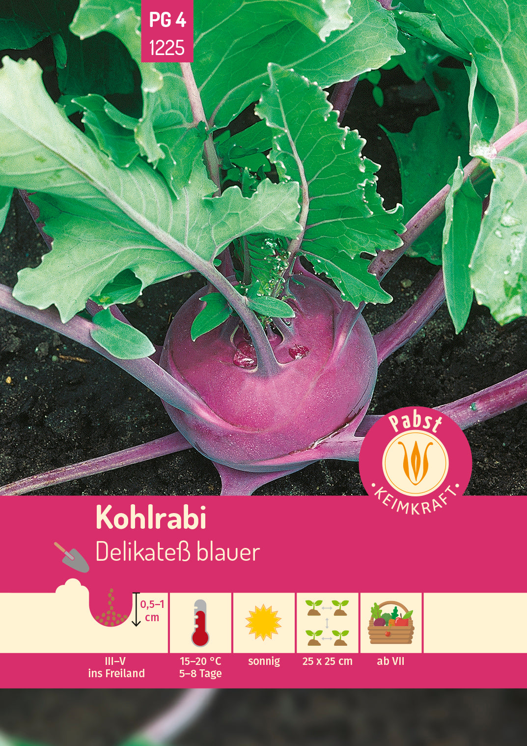 Kohlrabi mittelfrüh & zart Delikateß blauer