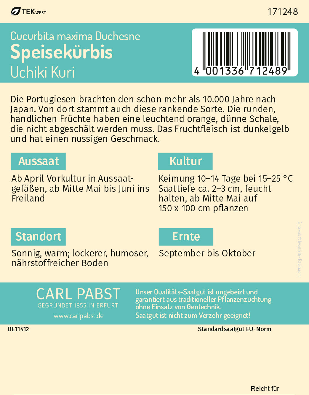 Speisekürbis nussig & rankend Uchiki Kuri