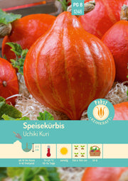 Speisekürbis nussig & rankend Uchiki Kuri