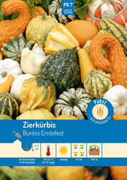 Zierkürbis Buntes Erntefest