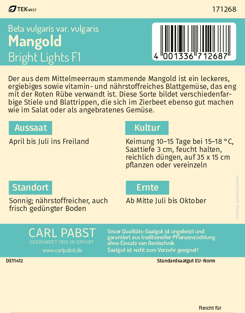 Mangold buntstielig & wüchsig Bright Lights