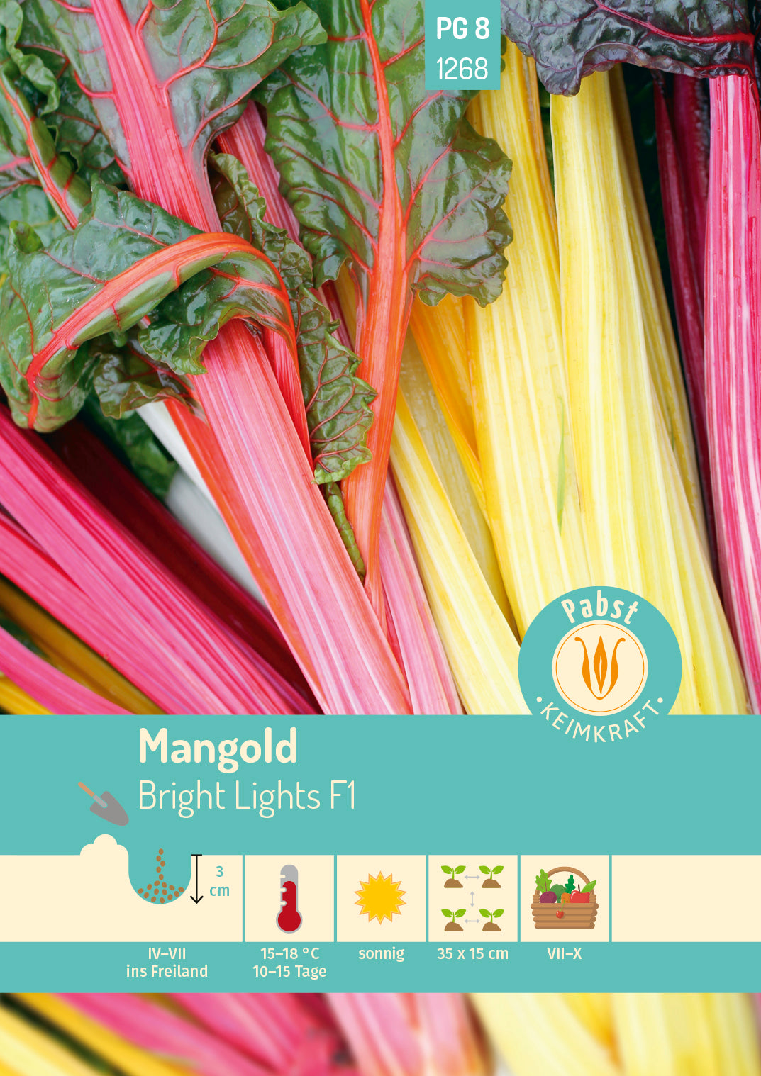 Mangold buntstielig & wüchsig Bright Lights