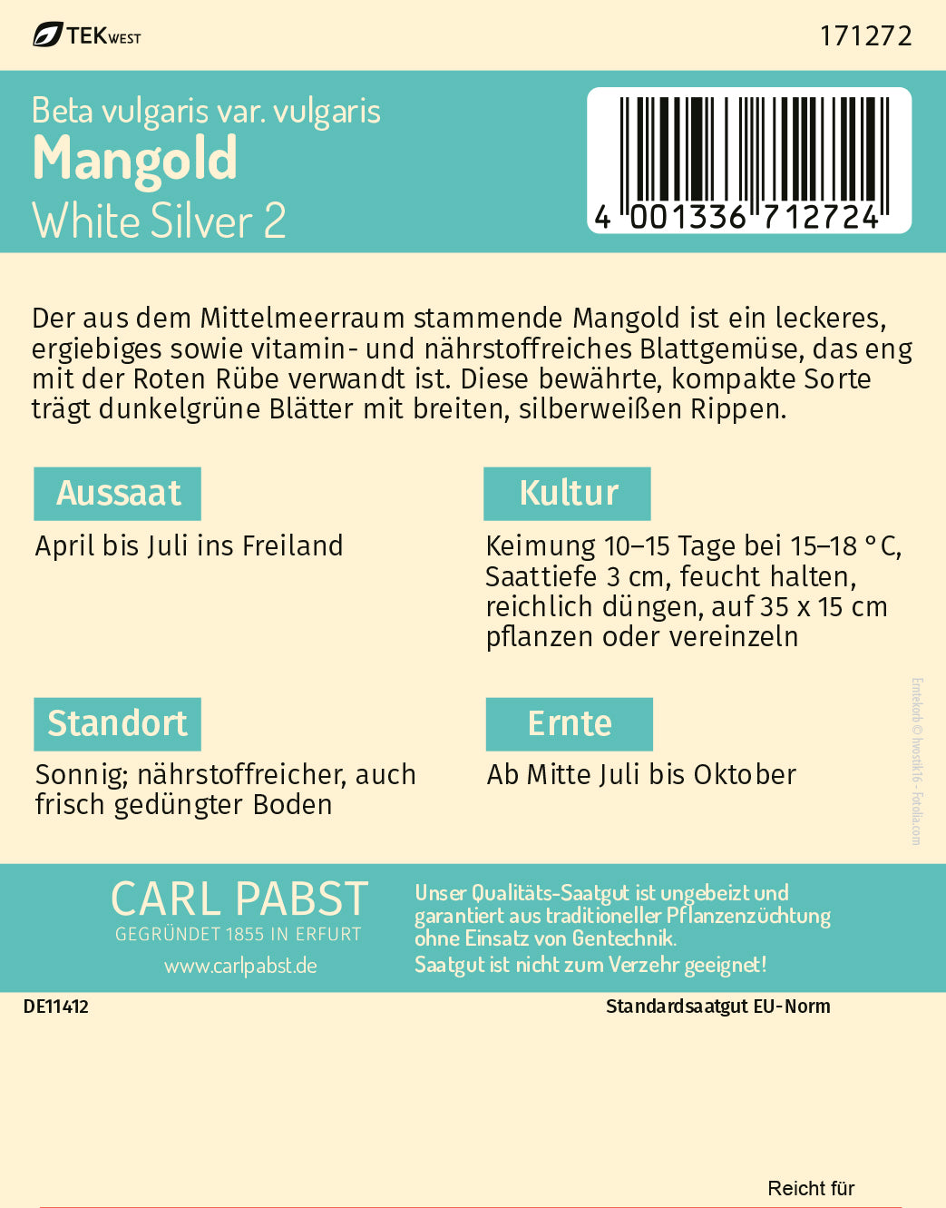 Mangold weißrippig & kompakt White Silver 2