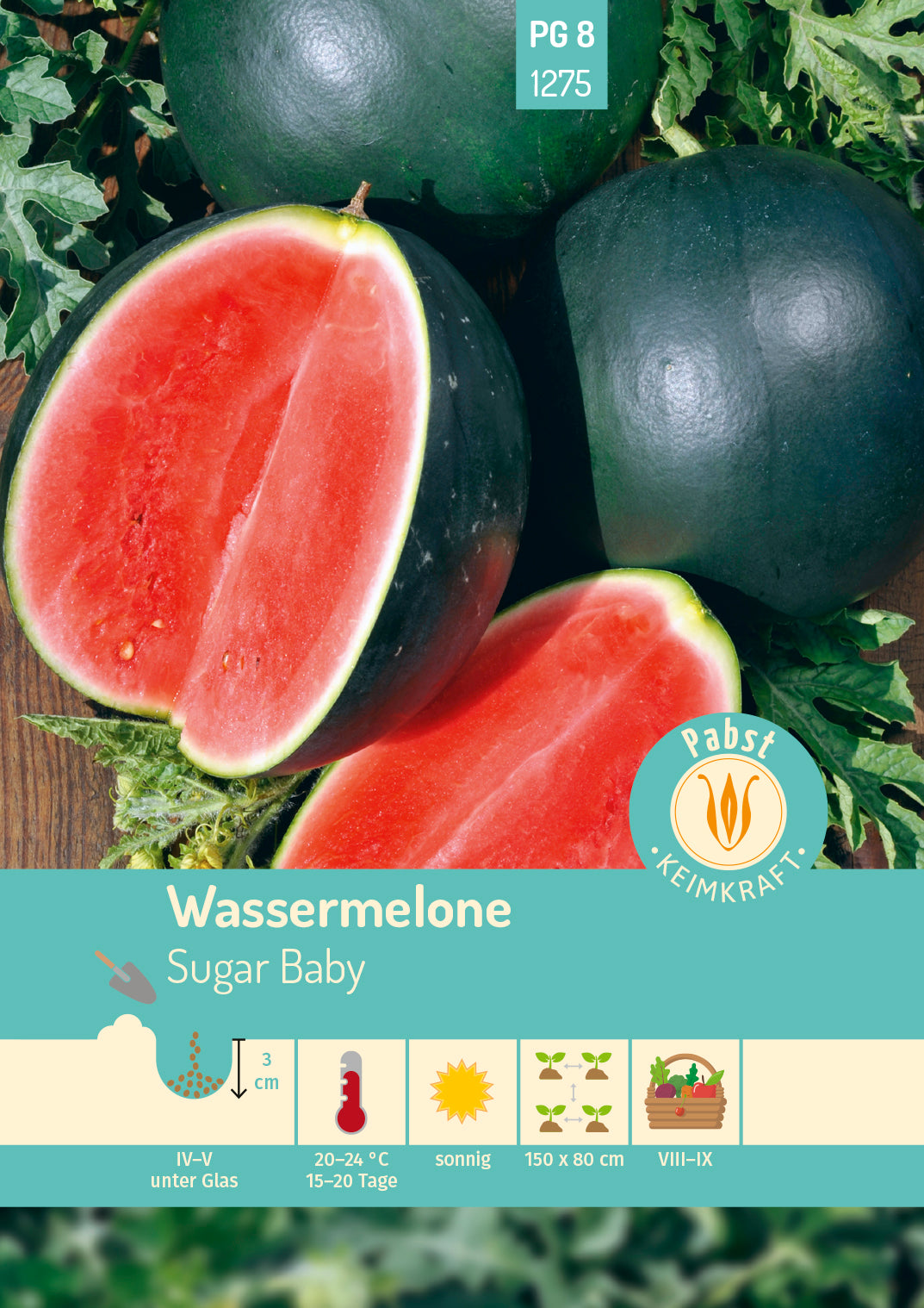 Wassermelone früh & kleinfrüchtig Sugar Baby