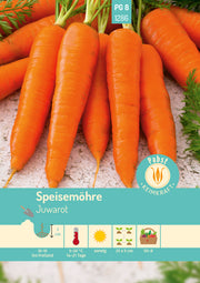 Speisemöhre mittelfrüh & carotinreich Juwarot