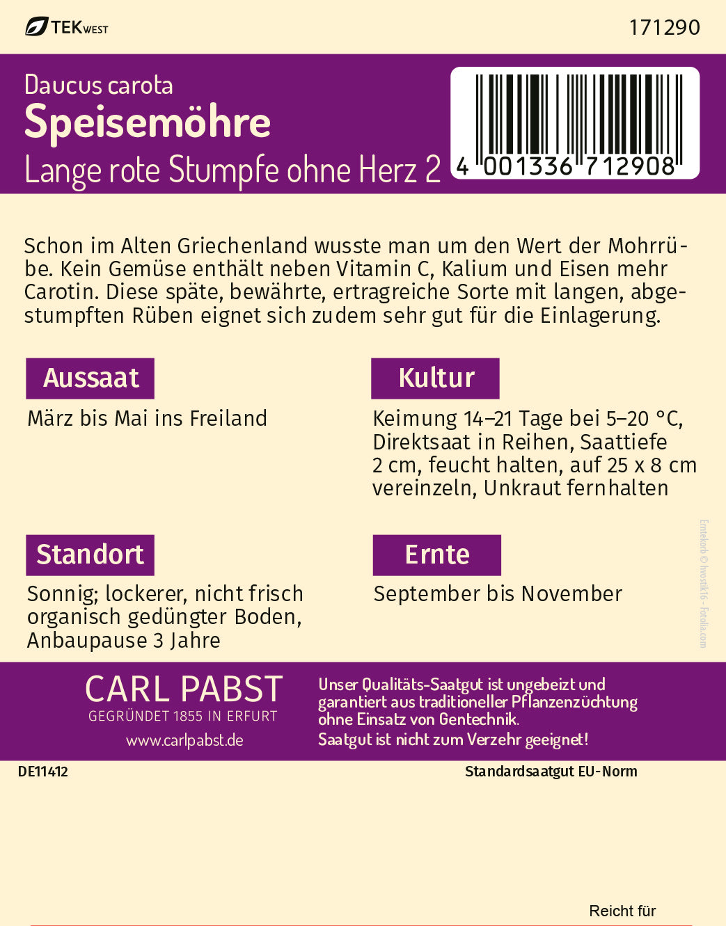 Speisemöhre spät & lang Lange rote Stumpfe ohne Herz 2