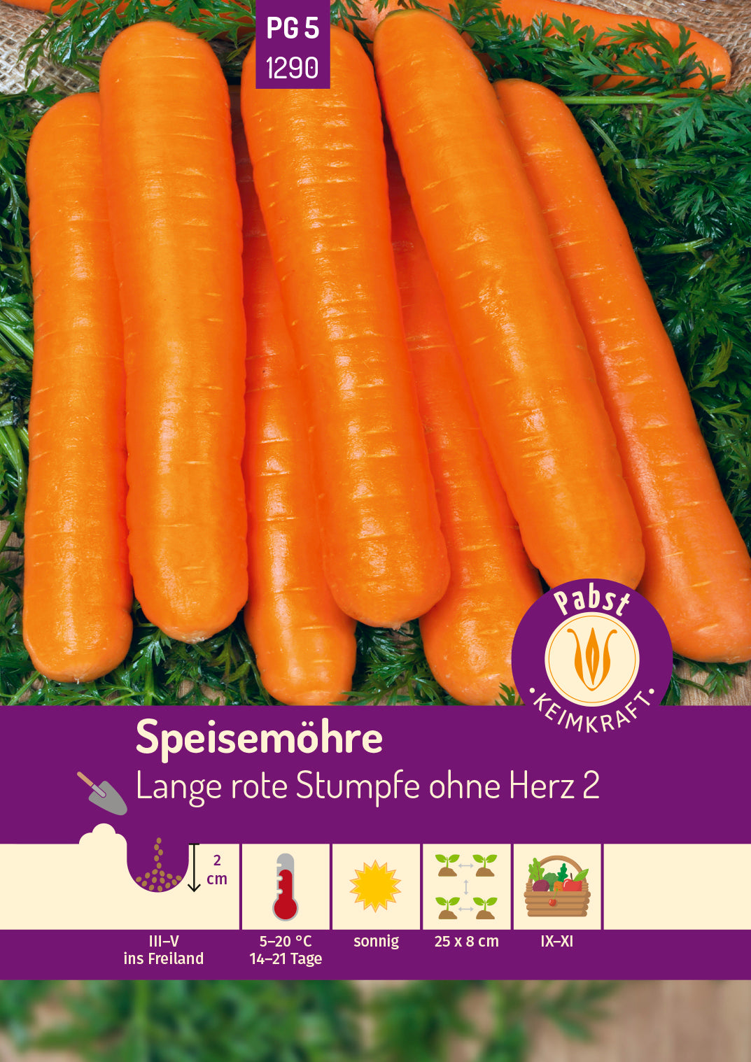 Speisemöhre spät & lang Lange rote Stumpfe ohne Herz 2