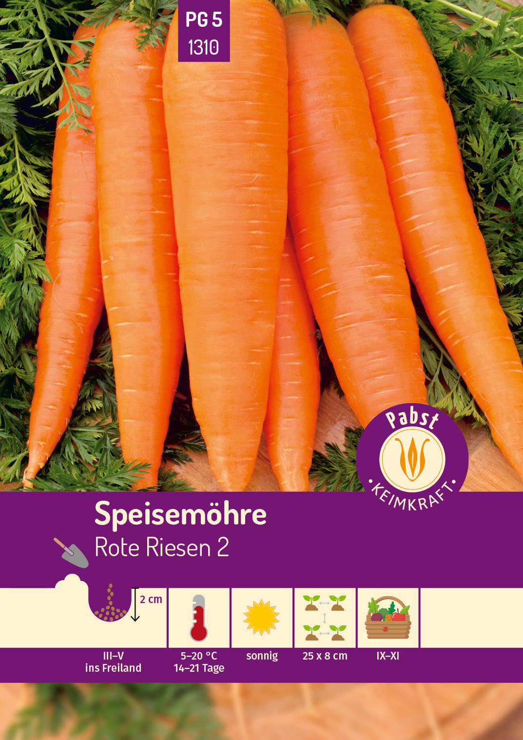 Speisemöhre spät & kegelförmig Rote Riesen 2