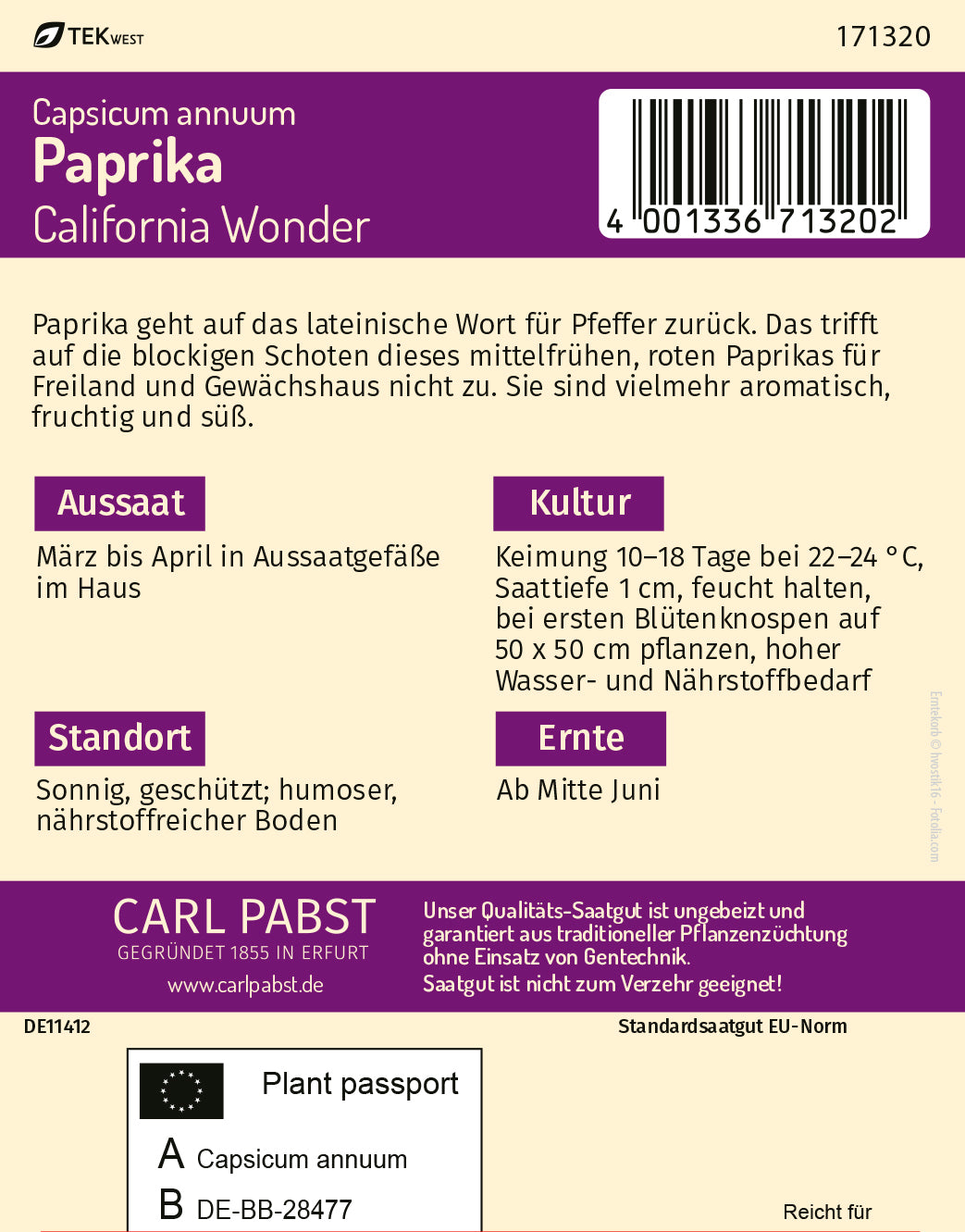 Paprika  früh & blockförmig California Wonder
